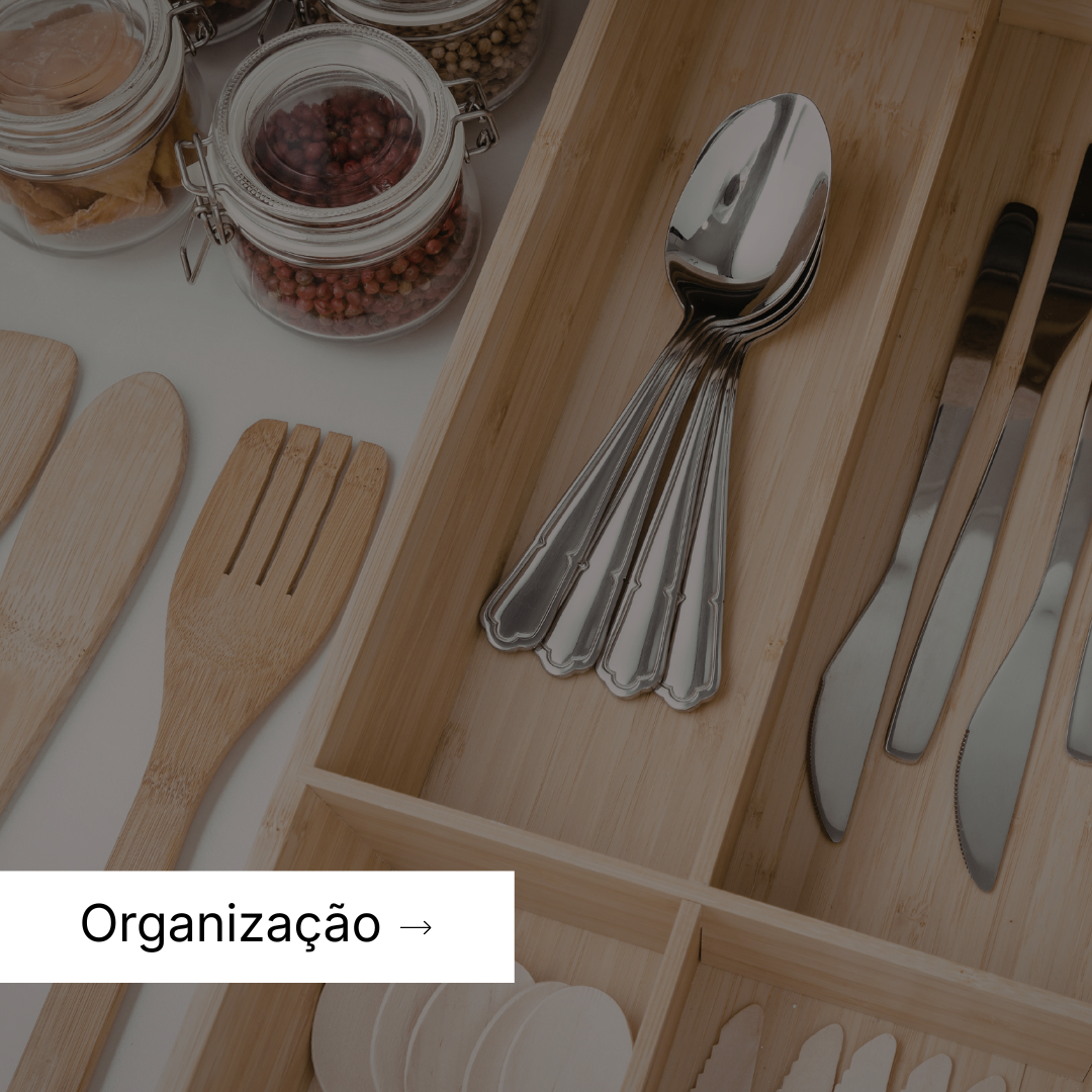 Organização e Armazenamento